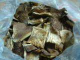 Dried Plerotus Ostreatus (Oyster Mushrooms)