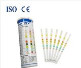 10 Parameters Urine Test Strip