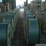ASTM A475 Galvanized Steel Wire
