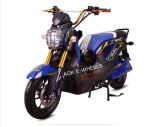 Powerful 1200W Brushless Motor Racing Electric Motorcycle (EM-007)