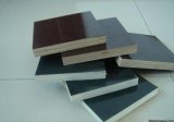 High Quality Plywood for Construction or Furniture (ZL-CP)
