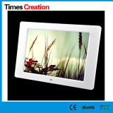 8 Years Top Factory 12 Inch Digital Photo Frame