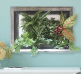 Home Use Green Plant Mini Wall