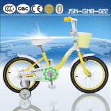 20 Inch Hot Sale Comfortable City Bike for Girl