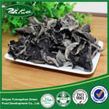 Black Fungus Organic Factory Prcie Without Stem