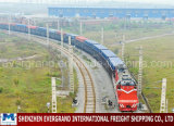 Professional China Railroad Transport