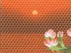Galvanized Hexagonal Wire Netting
