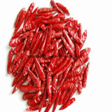 Hot Dried Pepper Red Chilli