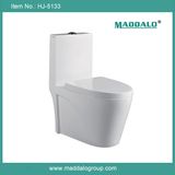 AAA Quality Bathroom Ceramic One Piece Toilet (HJ-5133)