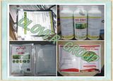 Pesticide Acetamiprid (95% TECH, 3%EC. 25%SL, 20%WP, 20%SP)