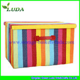 Luda Colorful Useful Paper Straw Storage Basket with Cover