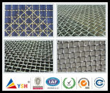 Various Material Crimped Wire Mesh (20years factory)