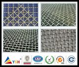 Various Material Crimped Wire Mesh (20years factory)