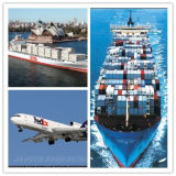 Your Reliable Cargo Agent to South Korea Container Barge Shipping