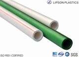 PPR Pipes