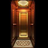 Villa Passenger Elevator
