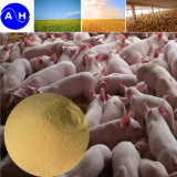 Amino Acid Chelate Zinc for Feed Additive