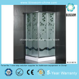 2014 New Modern Square Simple Shower Room (BLS-9616)