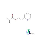 Piperidinoethyl Methacrylate