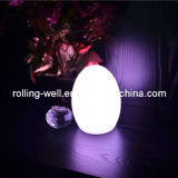 LED Christmas Table Decoration / Table Lamp Lighting with Color Changing/Rechargeable LED Table Light