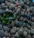 New Crop of IQF Frozen Blackberries Fruits