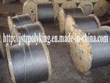 Galvanized Steel Wire Rope