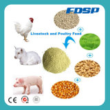Easy Operation Liyang Manufacturer Poultry Feed Project