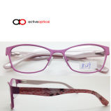 2014 New Metal Optical Frame Eyeglass (8129) Eyewear