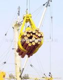 Grabing Bulk Cargo of Two Rope Timber Grab