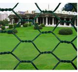 PVC Coated Hexagonal Wire Mesh