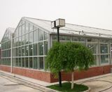 Heat Insulation Anti UV Glass Coating (AMS-020)