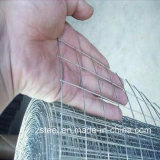6X6 Reinforcing Welded Wire Mesh