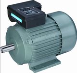 Single Phase Yc Motor with CE (YC80-YC132M)