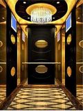 Passenger Mirror Elevator
