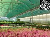 Meyabond Anti Insect Net for Horticulture (MYB-009)