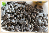 Raw Black Sunflower Seeds
