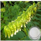 Sophocarpidine, Herb Medicine Sophora Flavescens Extract