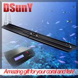 Aquarium LED Lighting with Daisy-Chain (UT2-RC-P)