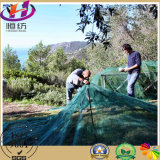 High Quality 100% Virgin HDPE Agricultural Olive Harvest Net