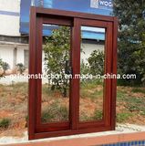 Aluminum Sliding Window with Double Glazing (TS-058)