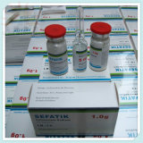 Cefotaxime for Injection with GMP Certificate (LJ-MA-002)