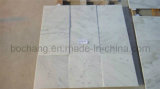 Popular Oriental White Marble Flooring Tile, Marble Slab, Marble Tile