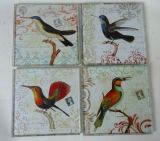 Bird Design Square Glass Coasters Set 4
