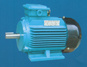 Y2 Series 3-Phase Induction Motor