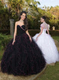Fashion Prom Dress (PD-87049)