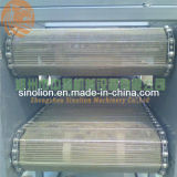 Top Quality Continuous Conveyor Mesh Belt Dryer for Food/Fruit/Vegetables.