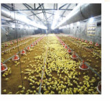 2014 Hot Sale Poultry Feeding System for Broiler House