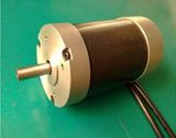 Slotted BLDC Motor (BL57)