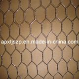 Hexagonal Wire Mesh