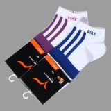 Socks (VO26)